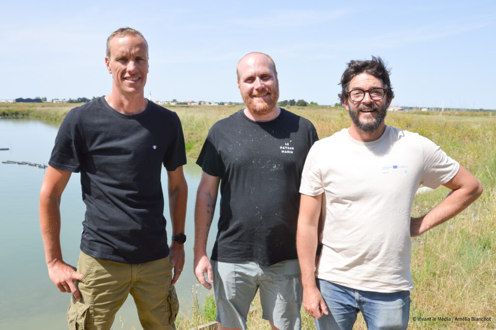 De gauche à droite : Thomas Miard, aquaculteur dans l’île de Ré, Tristan Macquet, Ingénieur et agréé en cultures marines, et Benjamin Denjean, ingénieur environnemental, dans les marais de la ferme aquacole d'ars en ré