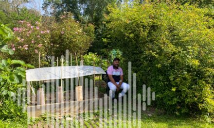 L’Îlot Merveilles, le jardin social et solidaire au cœur de Poitiers 