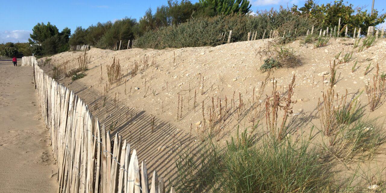 Montée des eaux - Dune restaurée post-Xynthia à Aytré