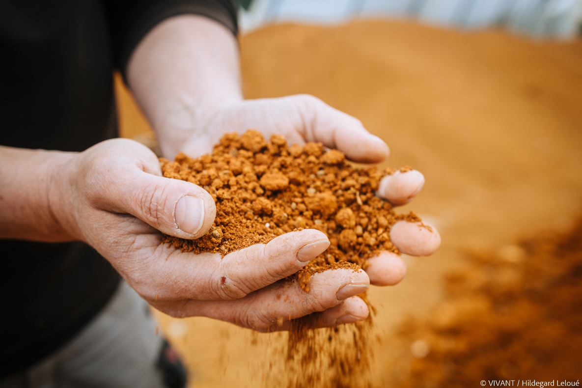 Bioconstruction, les pouvoirs de la terre crue Vivant le Média