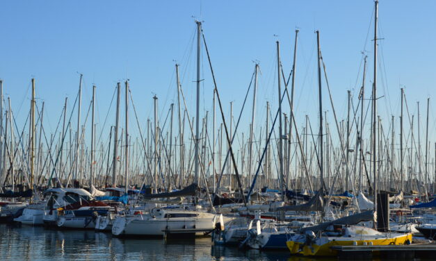“En Charente-Maritime, la production de masse de bateaux doit être interrogée”
