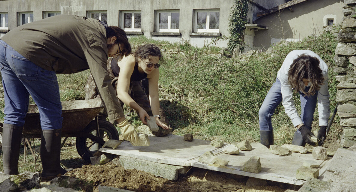 Construction d'un abri pour la protection des serpents