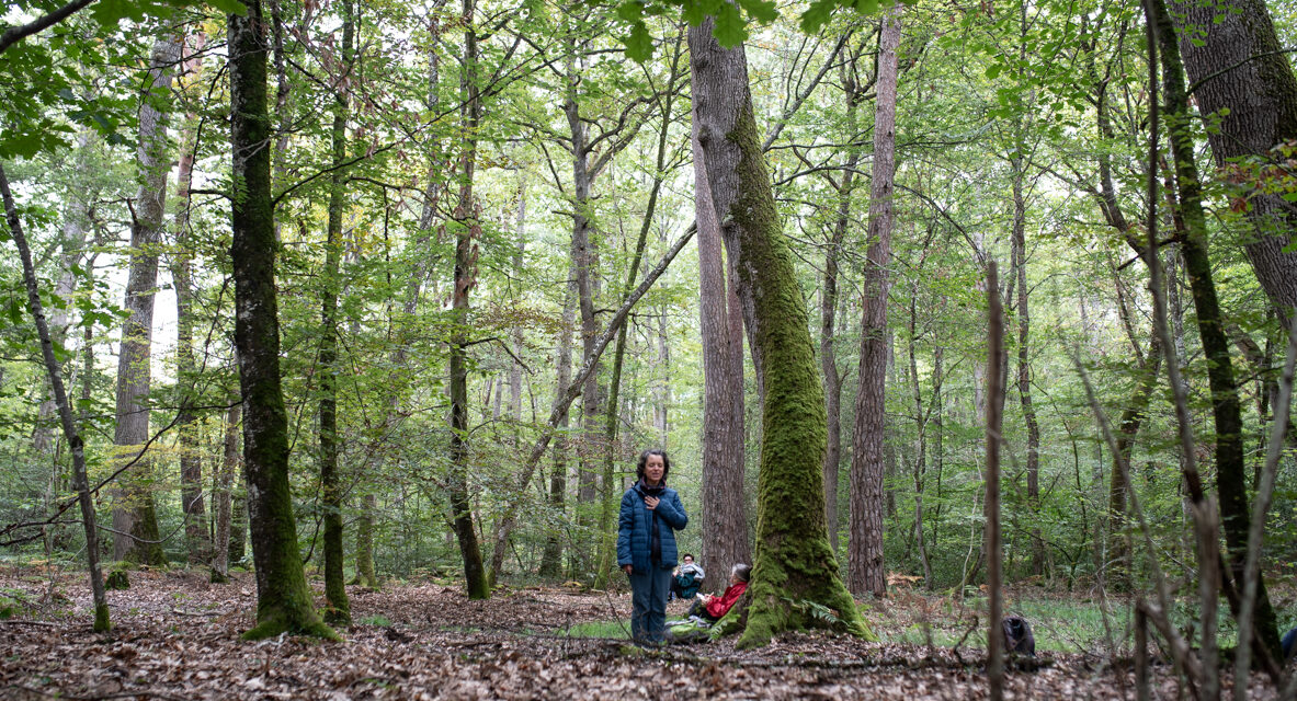 Bains de forêt contre le cancer