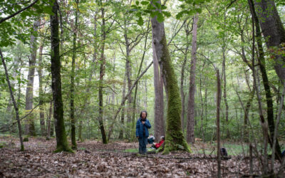 Ligue contre le cancer : les arbres comme alliés aux soins