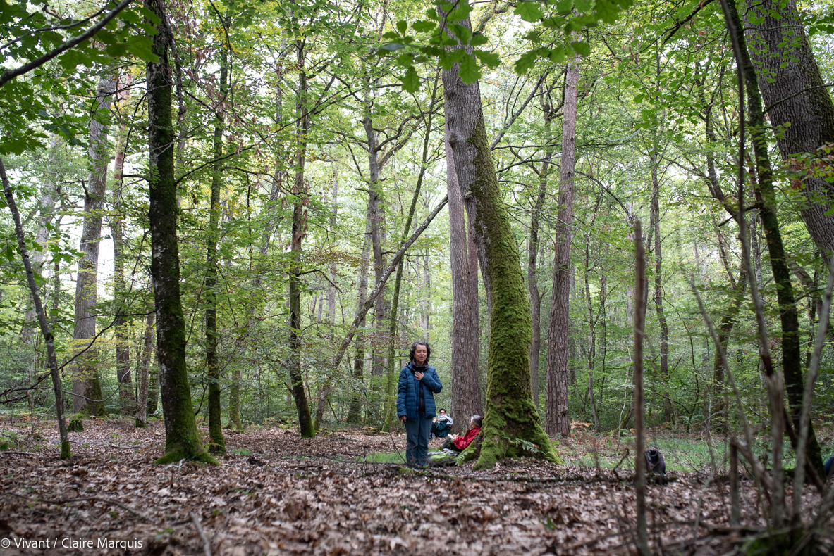 Bains de forêt contre le cancer