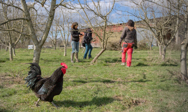 Femmes en agriculture : changer le regard des hommes