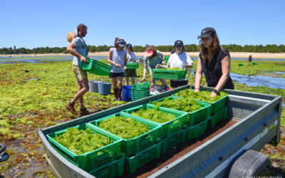 “Algues et alimentation” : Blutopia part en tournée à la voile