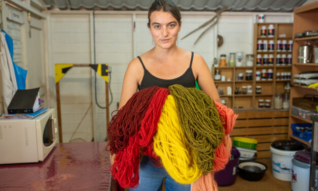 Valoriser la laine et ses métiers : à Vasles on se forme
