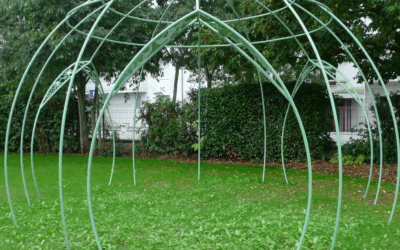 Dans les écoles de Poitiers, la végétalisation par le réemploi