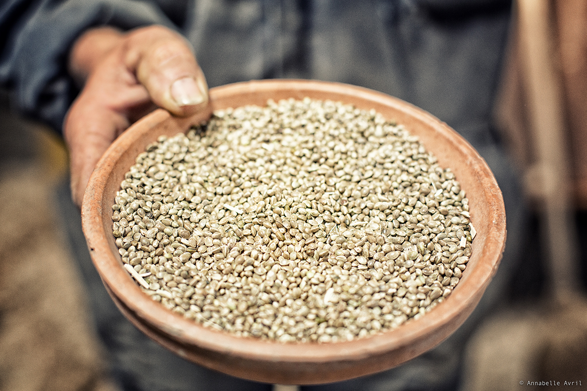 Chanvre Mellois #-15