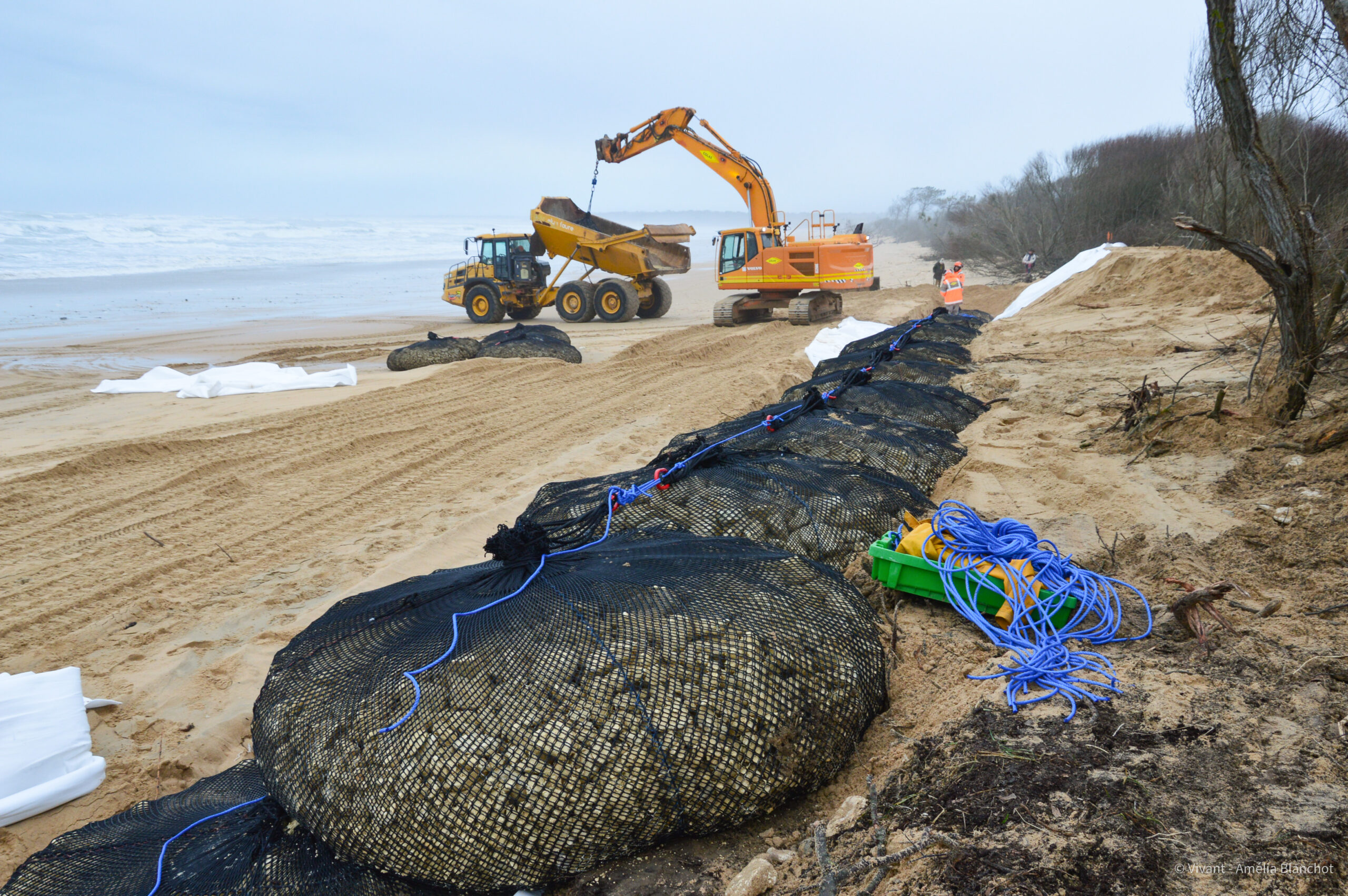 Chantier érosion Oléron crédit Amélia Blanchot (2)