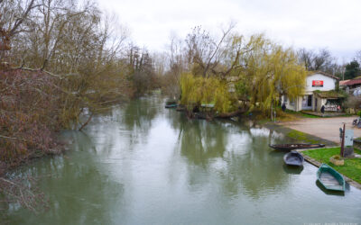 Dans le Marais poitevin, l’ambition d’une « adaptation collective au changement climatique »  