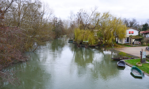 Dans le Marais poitevin, l’ambition d’une « adaptation collective au changement climatique »  