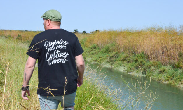 Dans l’île de Ré, la première ferme-école aquaécologique de France