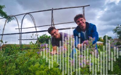 Des fleurs comestibles au menu de la réinsertion