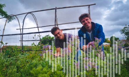 Des fleurs comestibles au menu de la réinsertion