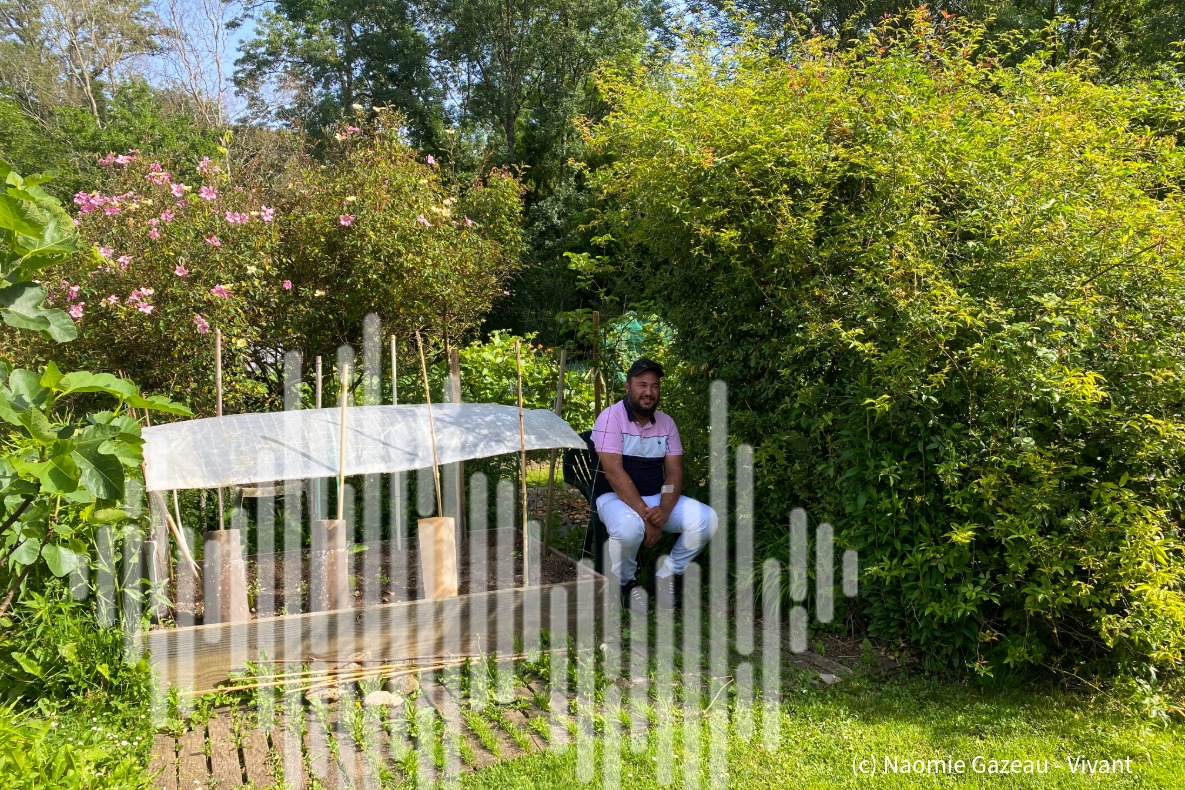 ilot-merveilles-naomie-gazeau-cretes jardin maraicher social et solidaire à Poitiers