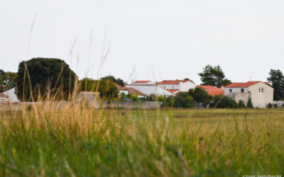 Pour préserver son territoire des pesticides, ce maire sanctuarise des terres agricoles