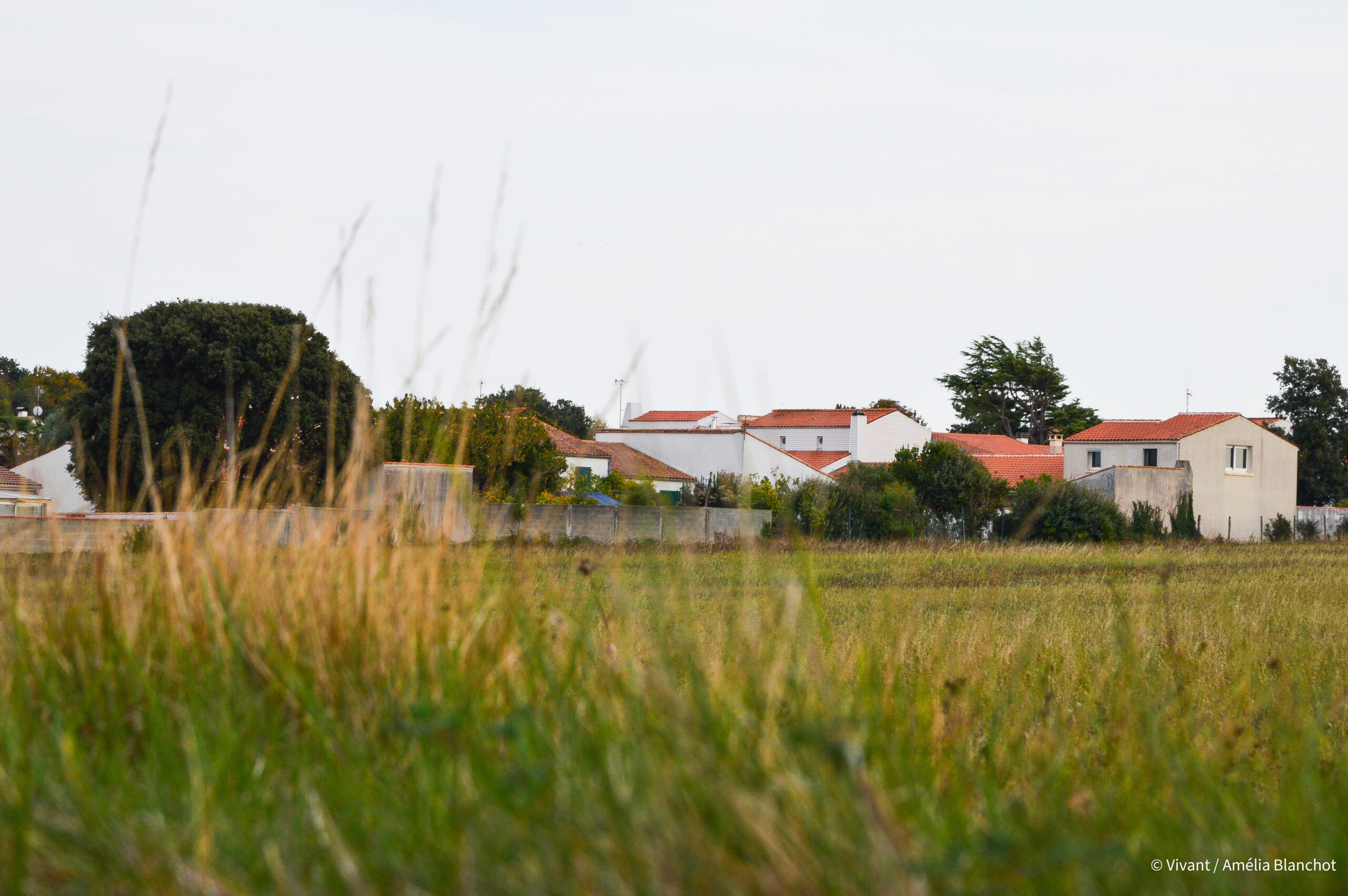 Vue du village de L'Houmeau qui a sanctuarisé des terres agricoles en espaces naturels sensibles